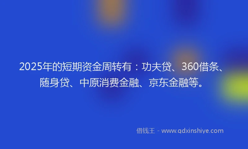 2025年的短期资金周转有：功夫贷、360借条、随身贷、中原消费金融、京东金融等。