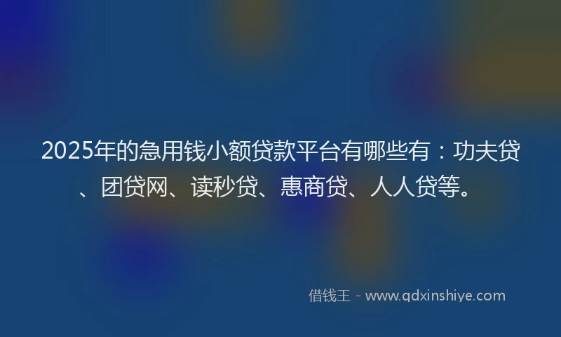 2025年的急用钱小额贷款平台有哪些有：功夫贷、团贷网、读秒贷、惠商贷、人人贷等。