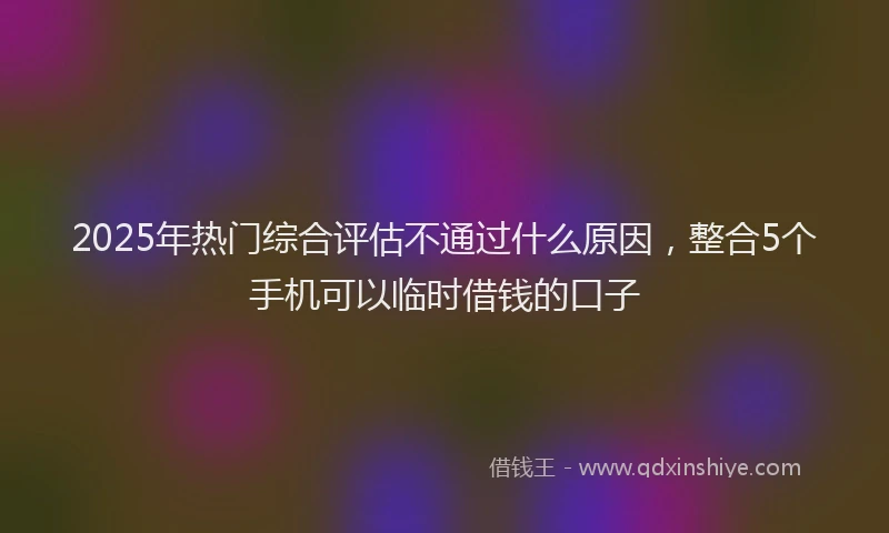 2025年热门综合评估不通过什么原因，整合5个手机可以临时借钱的口子