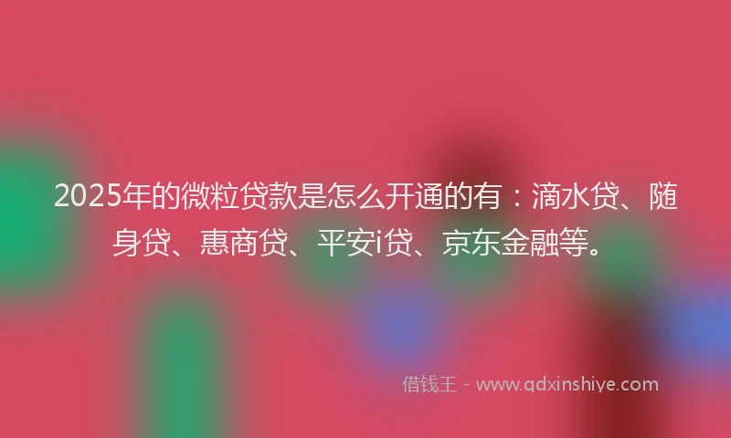 2025年的微粒贷款是怎么开通的有：滴水贷、随身贷、惠商贷、平安i贷、京东金融等。