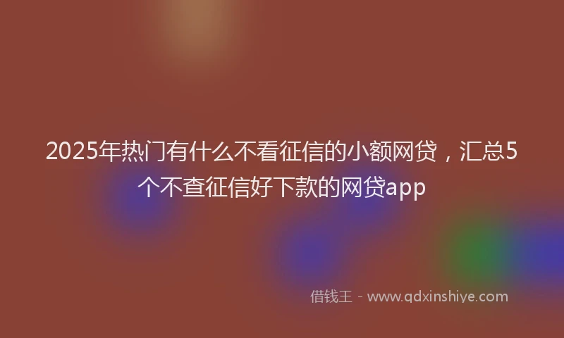 2025年热门有什么不看征信的小额网贷，汇总5个不查征信好下款的网贷app