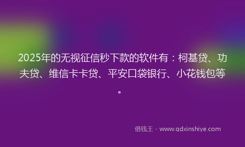 2025年的无视征信秒下款的软件有：柯基贷、功夫贷、维信卡卡贷、平安口袋银行、小花钱包等。