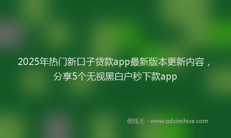 2025年热门新口子贷款app最新版本更新内容，分享5个无视黑白户秒下款app