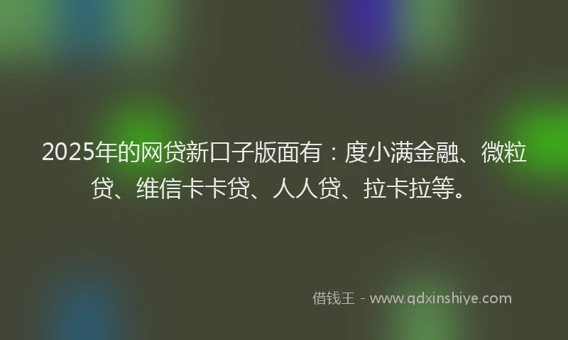 2025年的网贷新口子版面有：度小满金融、微粒贷、维信卡卡贷、人人贷、拉卡拉等。