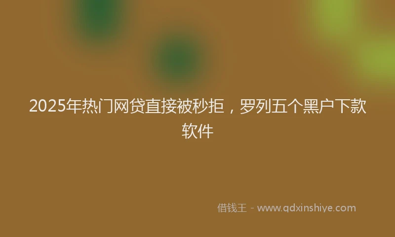 2025年热门网贷直接被秒拒，罗列五个黑户下款软件