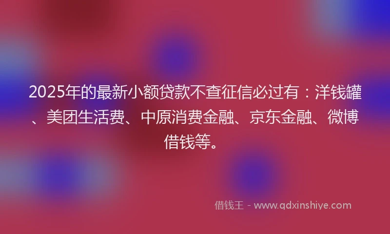 2025年的最新小额贷款不查征信必过有：洋钱罐、美团生活费、中原消费金融、京东金融、微博借钱等。