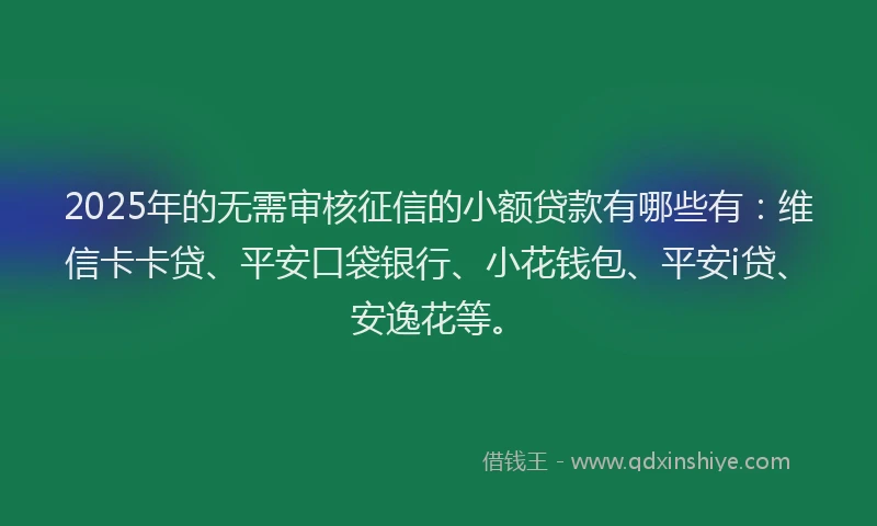 2025年的无需审核征信的小额贷款有哪些有：维信卡卡贷、平安口袋银行、小花钱包、平安i贷、安逸花等。