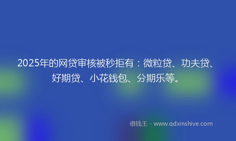 2025年的网贷审核被秒拒有：微粒贷、功夫贷、好期贷、小花钱包、分期乐等。