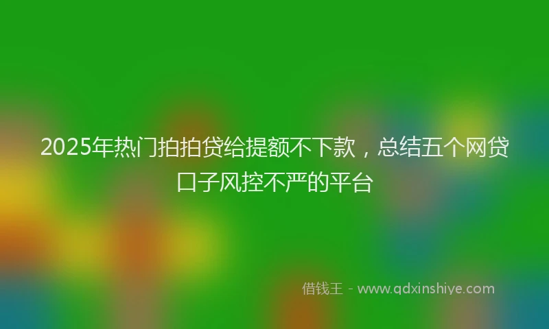 2025年热门拍拍贷给提额不下款，总结五个网贷口子风控不严的平台