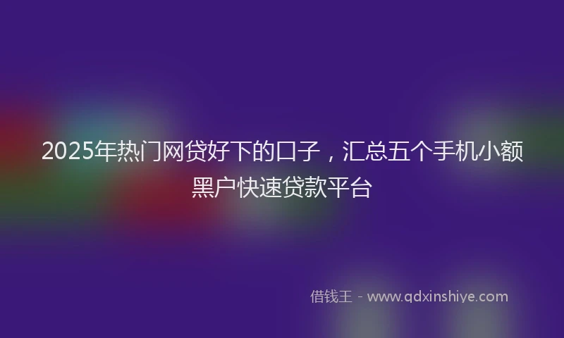 2025年热门网贷好下的口子，汇总五个手机小额黑户快速贷款平台