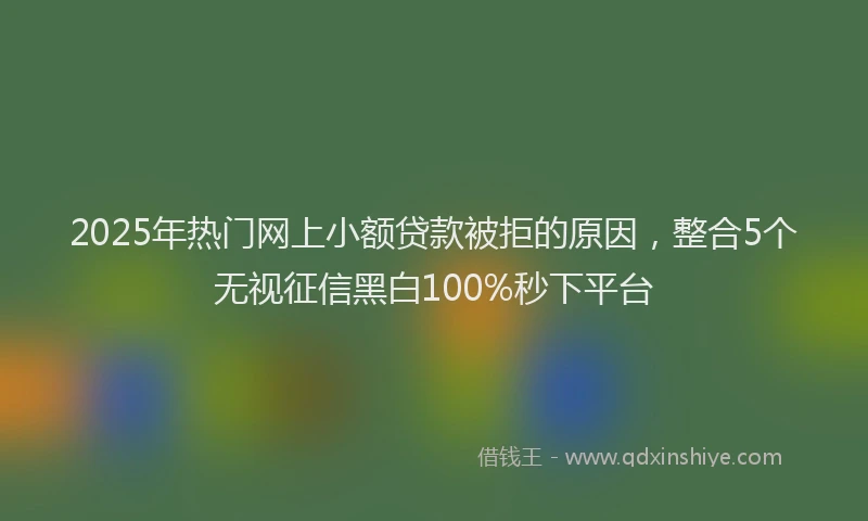 2025年热门网上小额贷款被拒的原因，整合5个无视征信黑白100%秒下平台