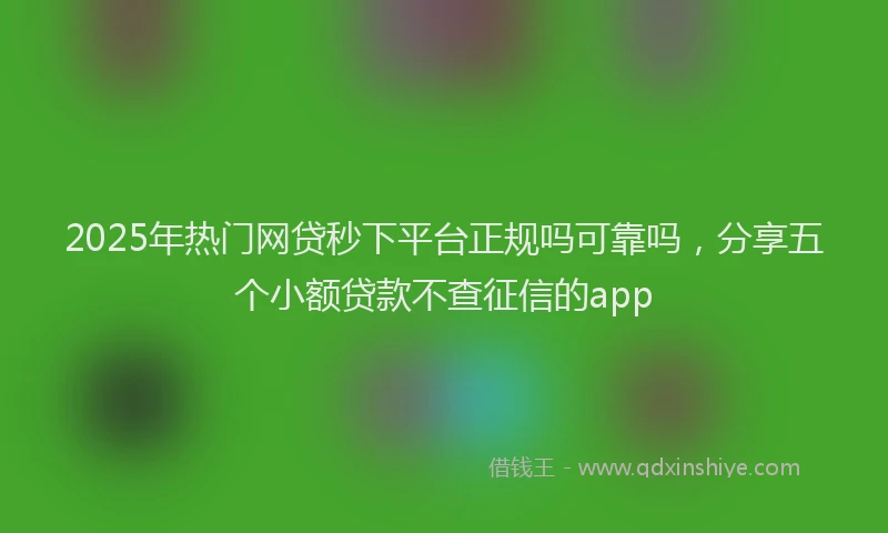 2025年热门网贷秒下平台正规吗可靠吗，分享五个小额贷款不查征信的app