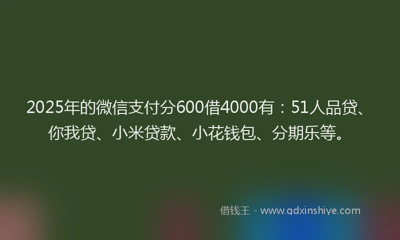 2025年的微信支付分600借4000有：51人品贷、你我贷、小米贷款、小花钱包、分期乐等。