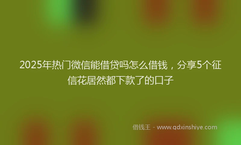2025年热门微信能借贷吗怎么借钱，分享5个征信花居然都下款了的口子