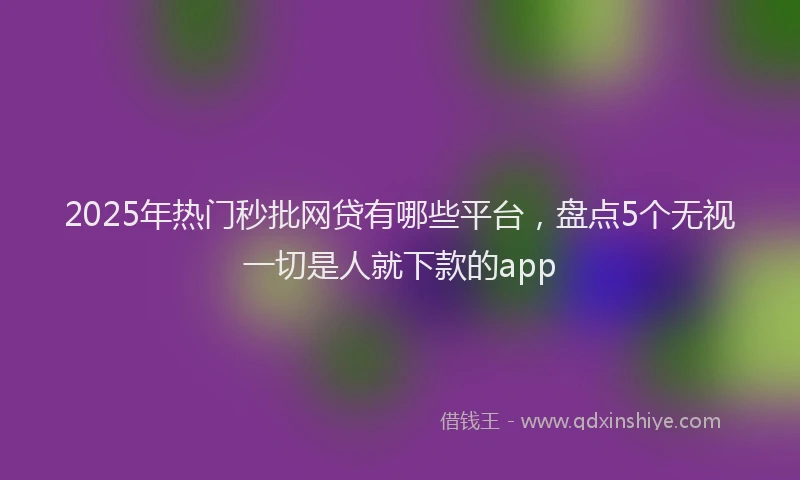 2025年热门秒批网贷有哪些平台，盘点5个无视一切是人就下款的app