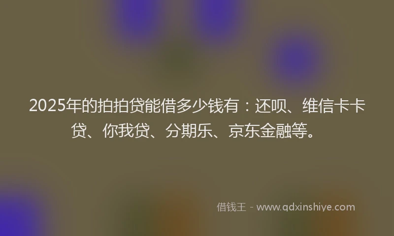 2025年的拍拍贷能借多少钱有：还呗、维信卡卡贷、你我贷、分期乐、京东金融等。