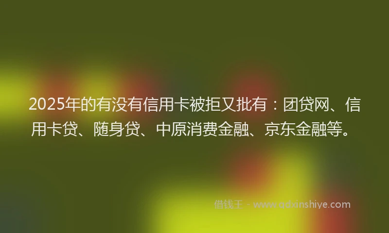 2025年的有没有信用卡被拒又批有：团贷网、信用卡贷、随身贷、中原消费金融、京东金融等。