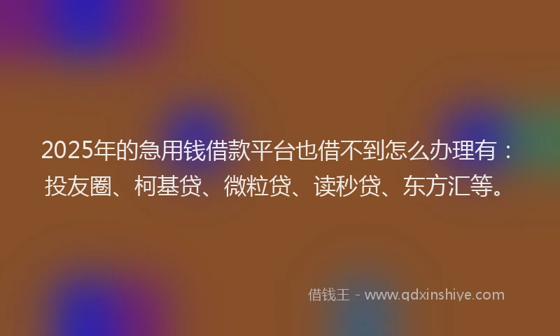 2025年的急用钱借款平台也借不到怎么办理有：投友圈、柯基贷、微粒贷、读秒贷、东方汇等。