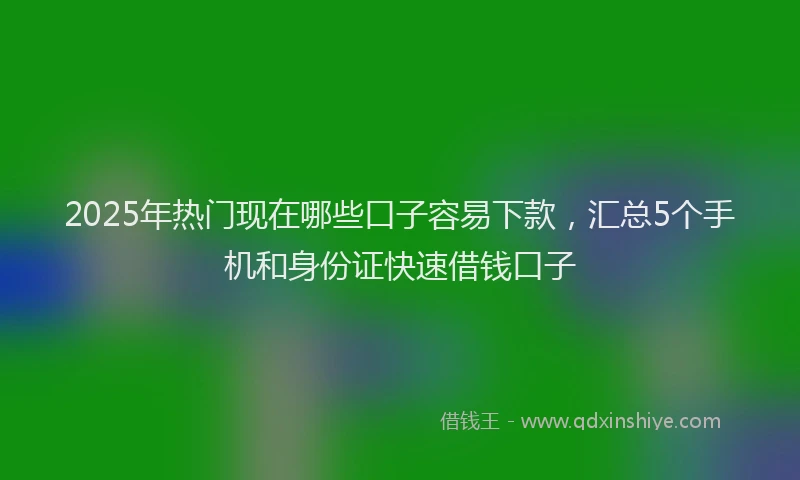 2025年热门现在哪些口子容易下款，汇总5个手机和身份证快速借钱口子