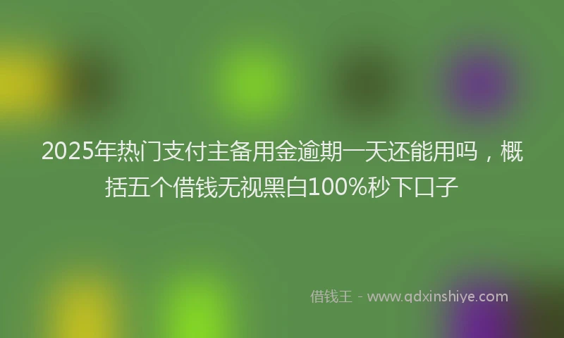 2025年热门支付主备用金逾期一天还能用吗，概括五个借钱无视黑白100%秒下口子