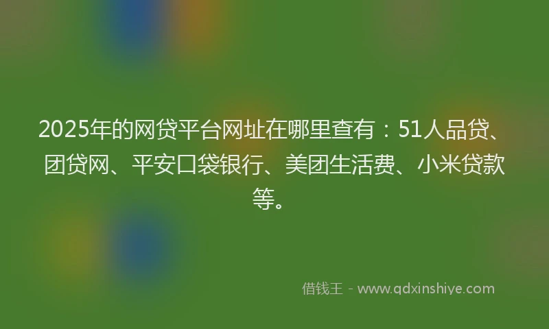2025年的网贷平台网址在哪里查有：51人品贷、团贷网、平安口袋银行、美团生活费、小米贷款等。