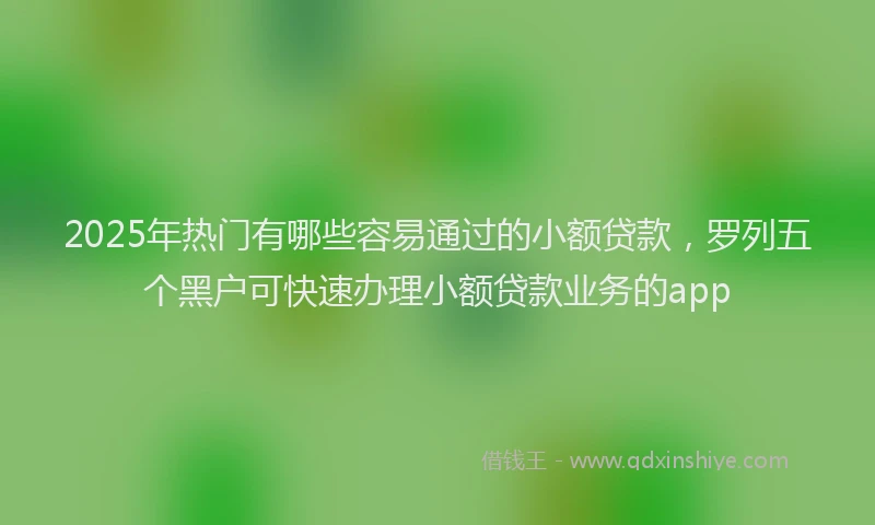 2025年热门有哪些容易通过的小额贷款，罗列五个黑户可快速办理小额贷款业务的app
