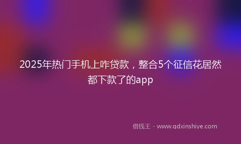 2025年热门手机上咋贷款，整合5个征信花居然都下款了的app