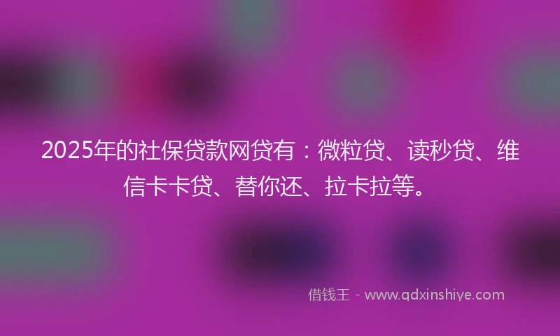 2025年的社保贷款网贷有：微粒贷、读秒贷、维信卡卡贷、替你还、拉卡拉等。