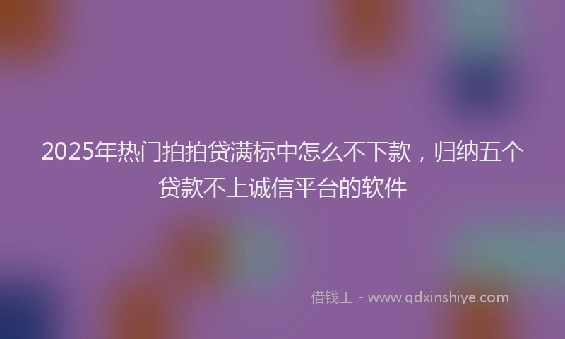 2025年热门拍拍贷满标中怎么不下款，归纳五个贷款不上诚信平台的软件