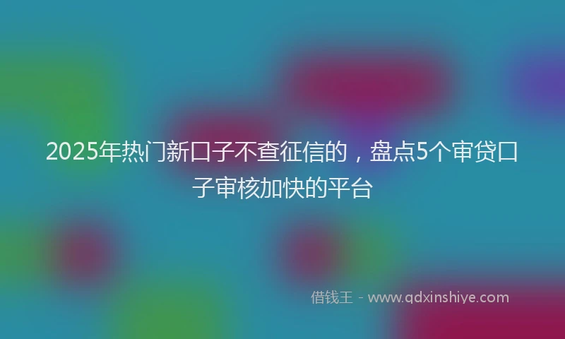 2025年热门新口子不查征信的，盘点5个审贷口子审核加快的平台