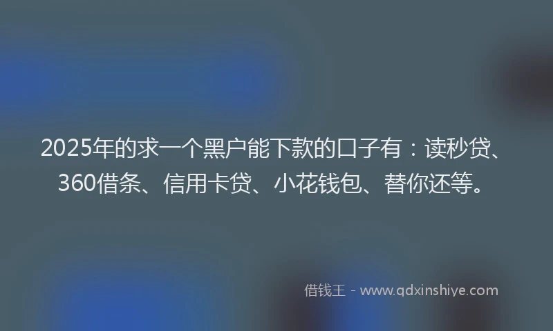 2025年的求一个黑户能下款的口子有：读秒贷、360借条、信用卡贷、小花钱包、替你还等。
