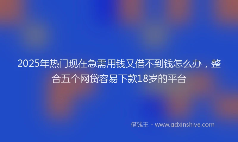 2025年热门现在急需用钱又借不到钱怎么办，整合五个网贷容易下款18岁的平台
