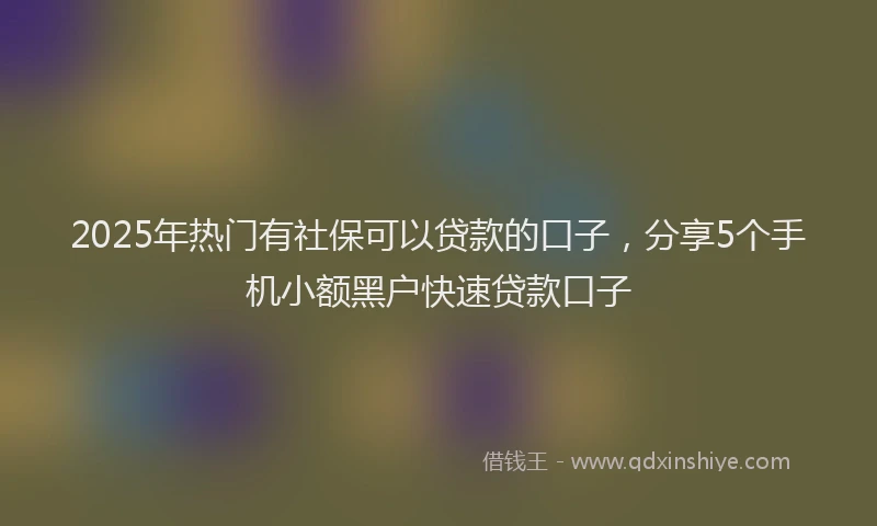 2025年热门有社保可以贷款的口子，分享5个手机小额黑户快速贷款口子