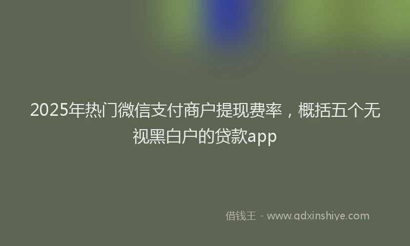 2025年热门微信支付商户提现费率，概括五个无视黑白户的贷款app