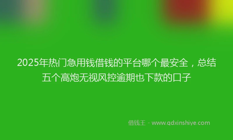2025年热门急用钱借钱的平台哪个最安全，总结五个高炮无视风控逾期也下款的口子