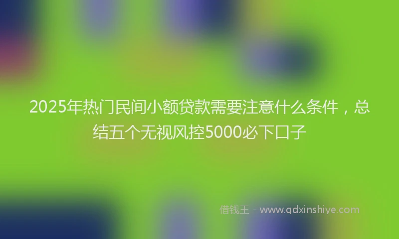 2025年热门民间小额贷款需要注意什么条件，总结五个无视风控5000必下口子