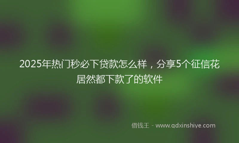 2025年热门秒必下贷款怎么样，分享5个征信花居然都下款了的软件
