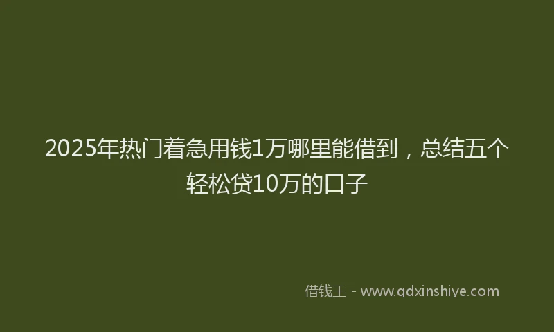 2025年热门着急用钱1万哪里能借到，总结五个轻松贷10万的口子