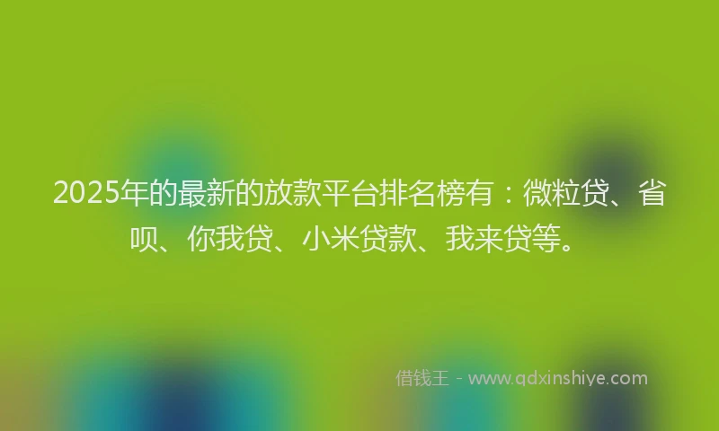 2025年的最新的放款平台排名榜有：微粒贷、省呗、你我贷、小米贷款、我来贷等。