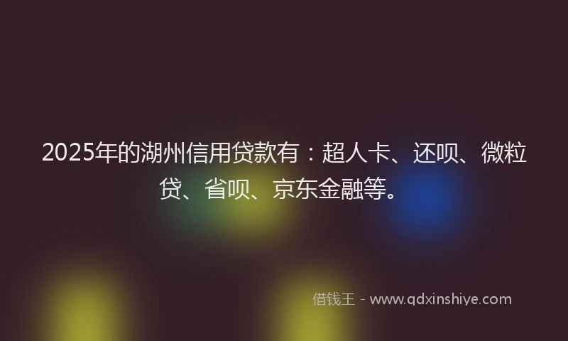 2025年的湖州信用贷款有：超人卡、还呗、微粒贷、省呗、京东金融等。