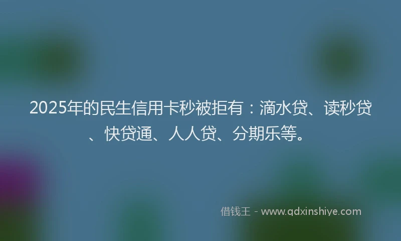 2025年的民生信用卡秒被拒有：滴水贷、读秒贷、快贷通、人人贷、分期乐等。