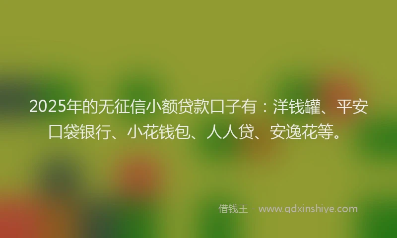 2025年的无征信小额贷款口子有：洋钱罐、平安口袋银行、小花钱包、人人贷、安逸花等。