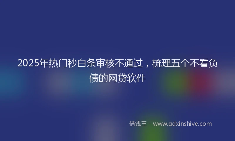 2025年热门秒白条审核不通过，梳理五个不看负债的网贷软件