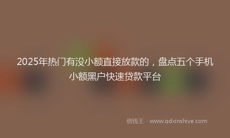 2025年热门有没小额直接放款的，盘点五个手机小额黑户快速贷款平台