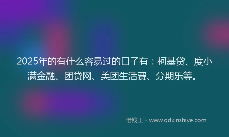 2025年的有什么容易过的口子有：柯基贷、度小满金融、团贷网、美团生活费、分期乐等。