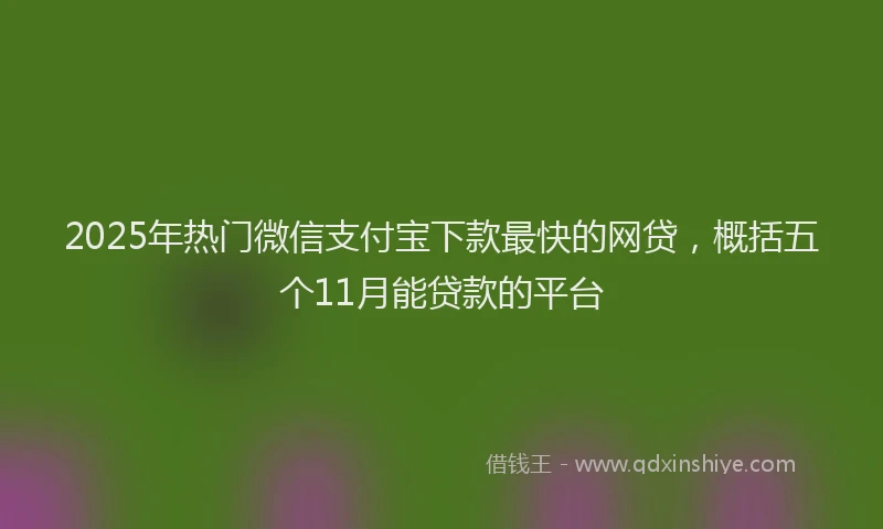 2025年热门微信支付宝下款最快的网贷，概括五个11月能贷款的平台