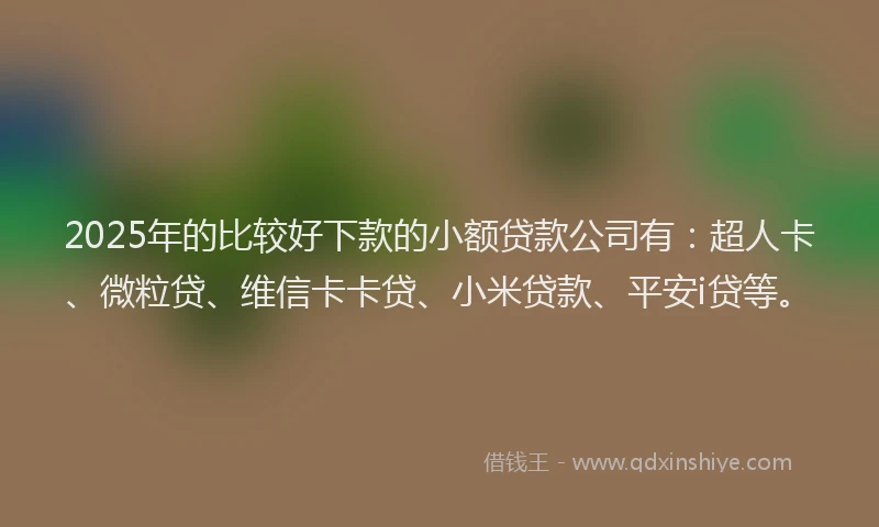 2025年的比较好下款的小额贷款公司有：超人卡、微粒贷、维信卡卡贷、小米贷款、平安i贷等。