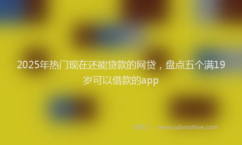 2025年热门现在还能贷款的网贷，盘点五个满19岁可以借款的app