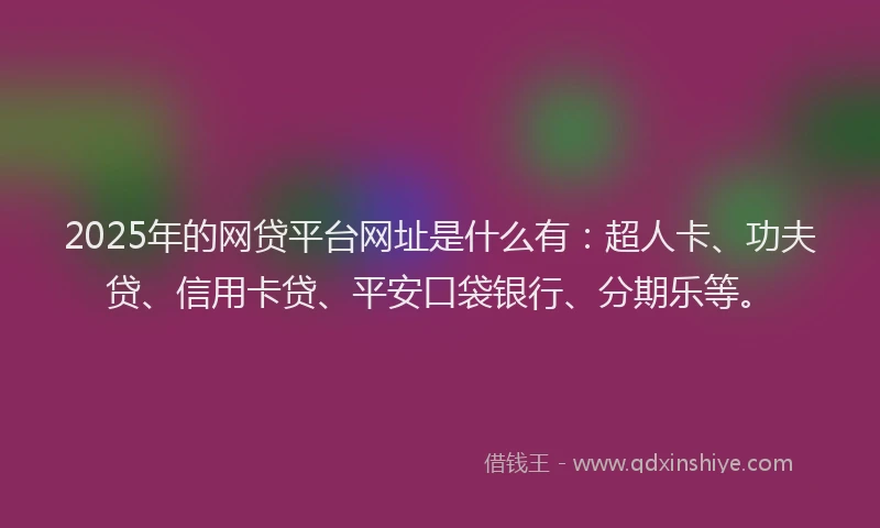 2025年的网贷平台网址是什么有：超人卡、功夫贷、信用卡贷、平安口袋银行、分期乐等。