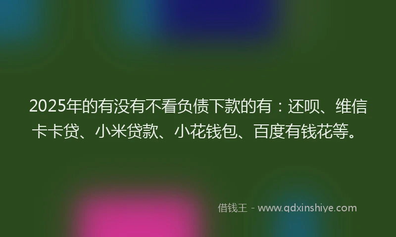 2025年的有没有不看负债下款的有：还呗、维信卡卡贷、小米贷款、小花钱包、百度有钱花等。